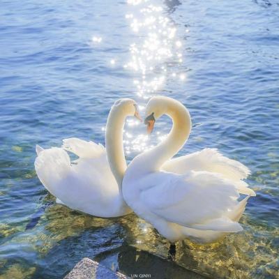 b体育官方app下载app下载