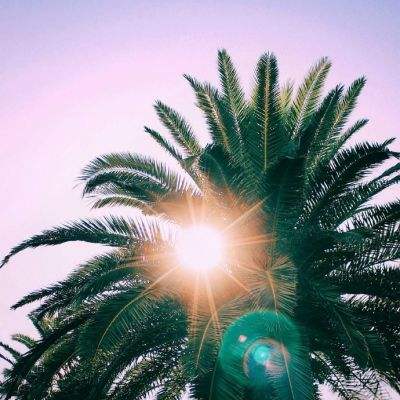 ag娱乐平台游戏中心app下载