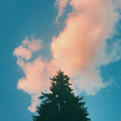 好彩网手机app下载截图